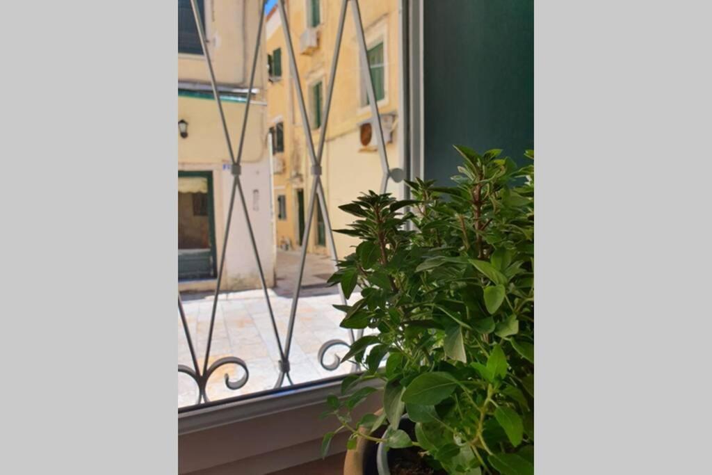Elia Luxury Suite, Corfu Town Exterior foto